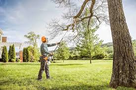 Best Lawn Maintenance Plans  in Lyndon, KY