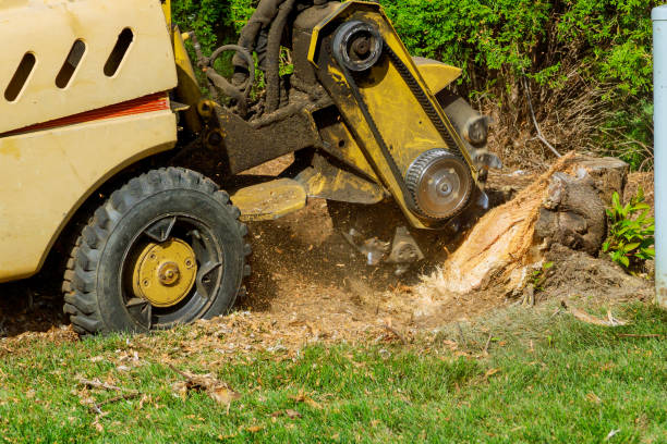 Best Lawn Watering Services  in Lyndon, KY
