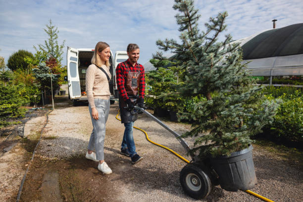Best Emergency Tree Removal  in Lyndon, KY
